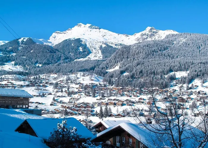 Abendrot Apartments-19 By Interhome Apartmán Grindelwald