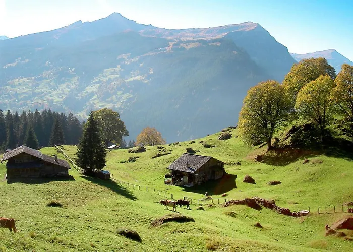 Abendrot Apartments-19 By Interhome * Grindelwald