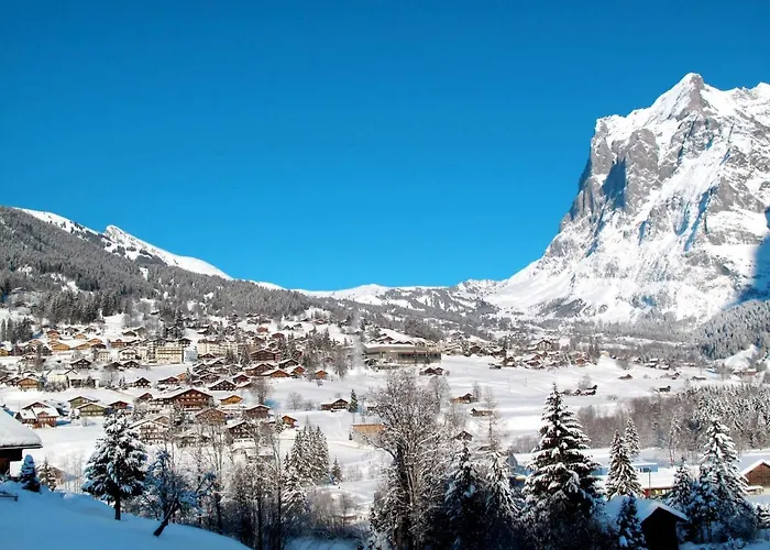 Apartmán Abendrot Apartments-19 By Interhome Grindelwald