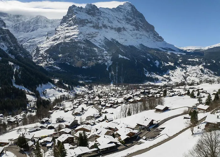 Abendrot Apartments-19 By Interhome Apartmán Grindelwald