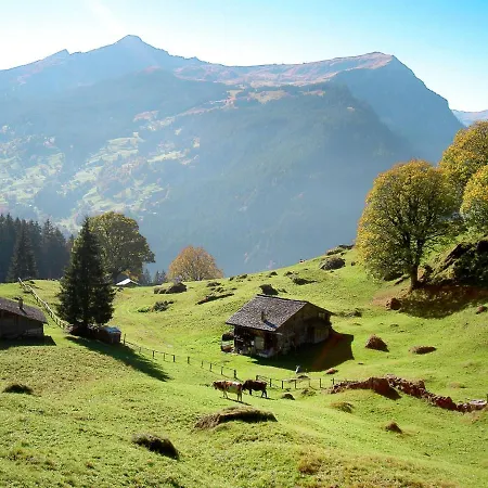 Abendrot Apartments-19 By Interhome * جريندلوالد